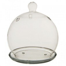 CYS-Excel Bell Jar Glass Terrarium   